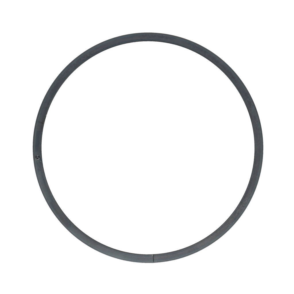 JE 3812-173 Опорне кільце маслознімного кільця Photo-4