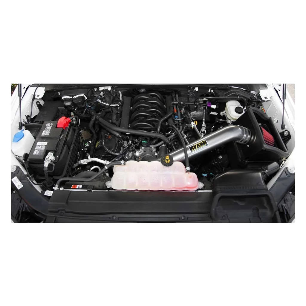 AEM 21-8129DC Система забору холодного повітря для FORD F150 V8-5.0LF / I, 2015-2017 роки Photo-2