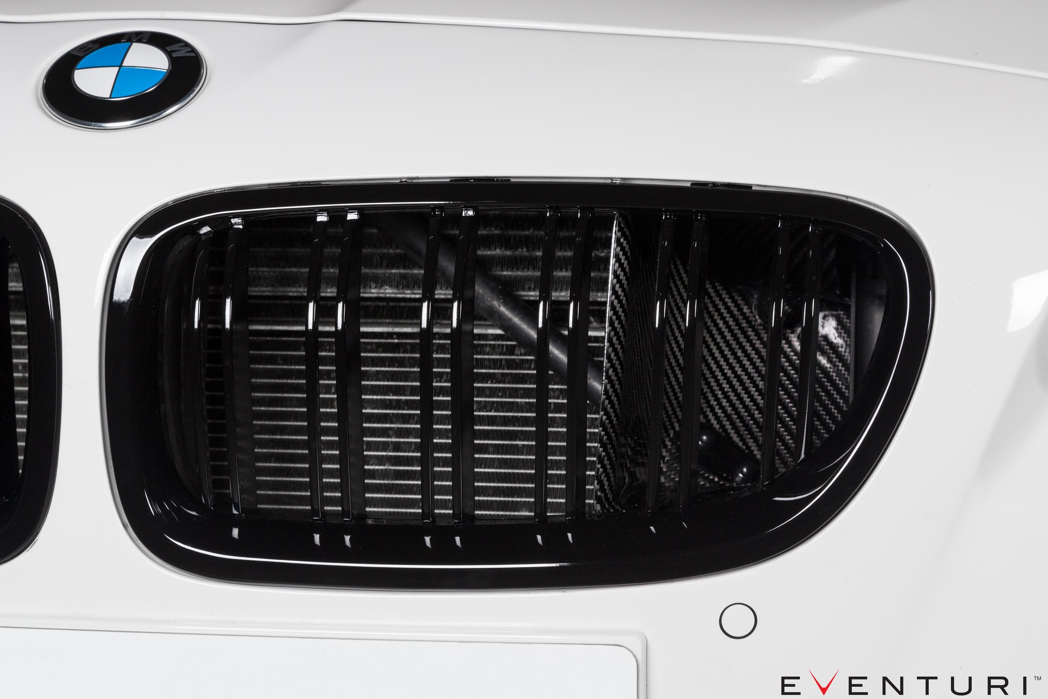 EVENTURI EVE-F1XM6-INT Система холодного впуску для BMW F1X M6 (карбон) Photo-12