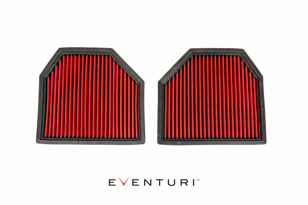 EVENTURI EVE-F10M5-PF OEM Заміна панельного фільтра (пара) для BMW M5 (F10) / M6 (F12 / F13 / F06) Photo-0