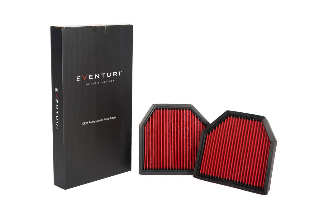 EVENTURI EVE-F10M5-PF OEM Заміна панельного фільтра (пара) для BMW M5 (F10) / M6 (F12 / F13 / F06) Photo-3