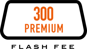 ECUTEK ECu Premium Чіп-тюнінг двигуна Flash Fee Premium 300 балів Photo-0