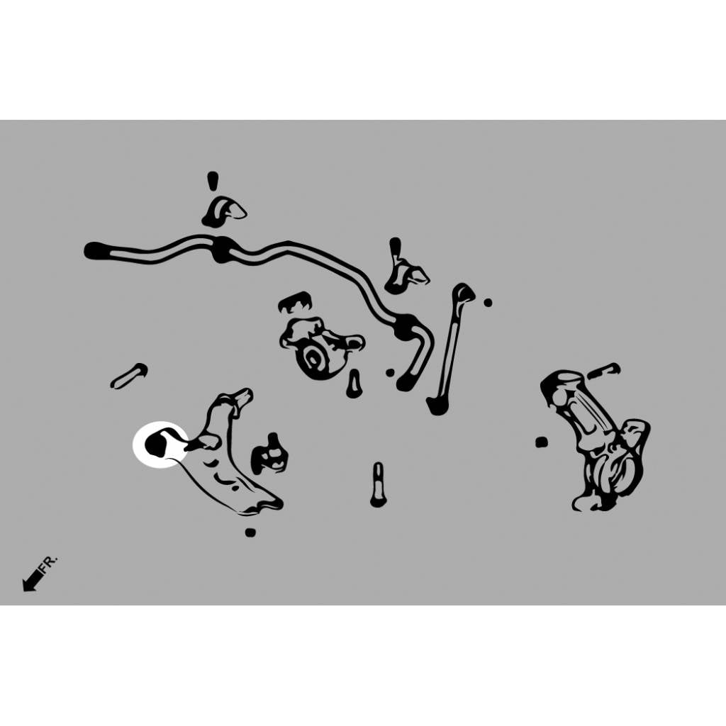 HARDRACE Q0864 Передній нижній важіль -Front Bushing Kit (Жорстка гума) - 4 шт для HONDA CR-V '17- Photo-6