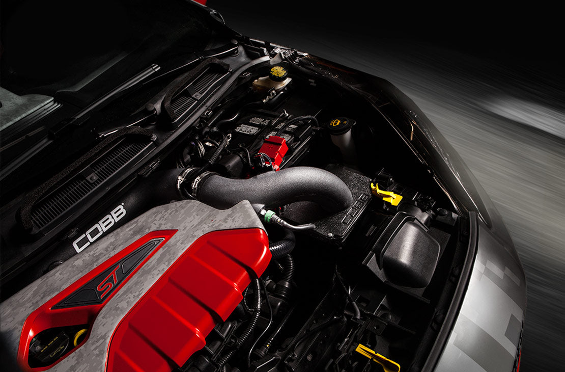 COBB 792101 FORD Fiesta ST Змінний повітряний фільтр Photo-0