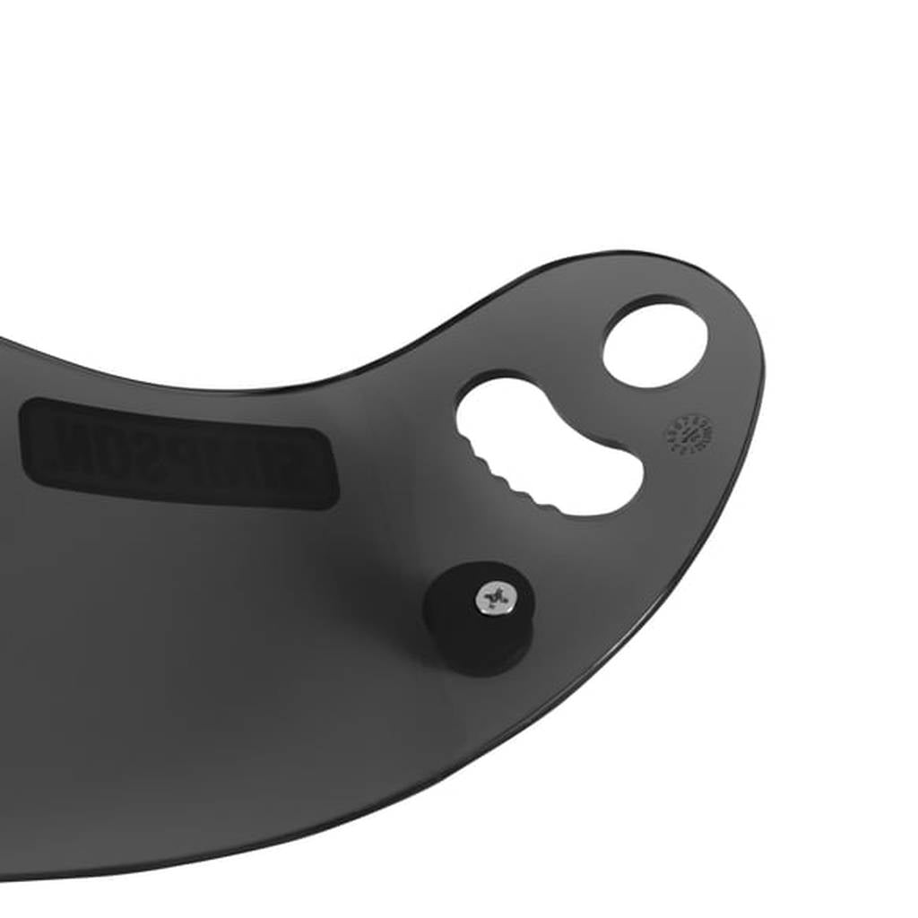 SIMPSON 84301A Візор/скло для шолома DEVIL RAY, затемнений Photo-4