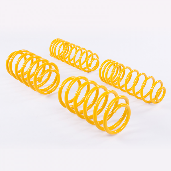 ST 28282053 Комплект пружин for для SKODA Octavia Combi (5E) Photo-0