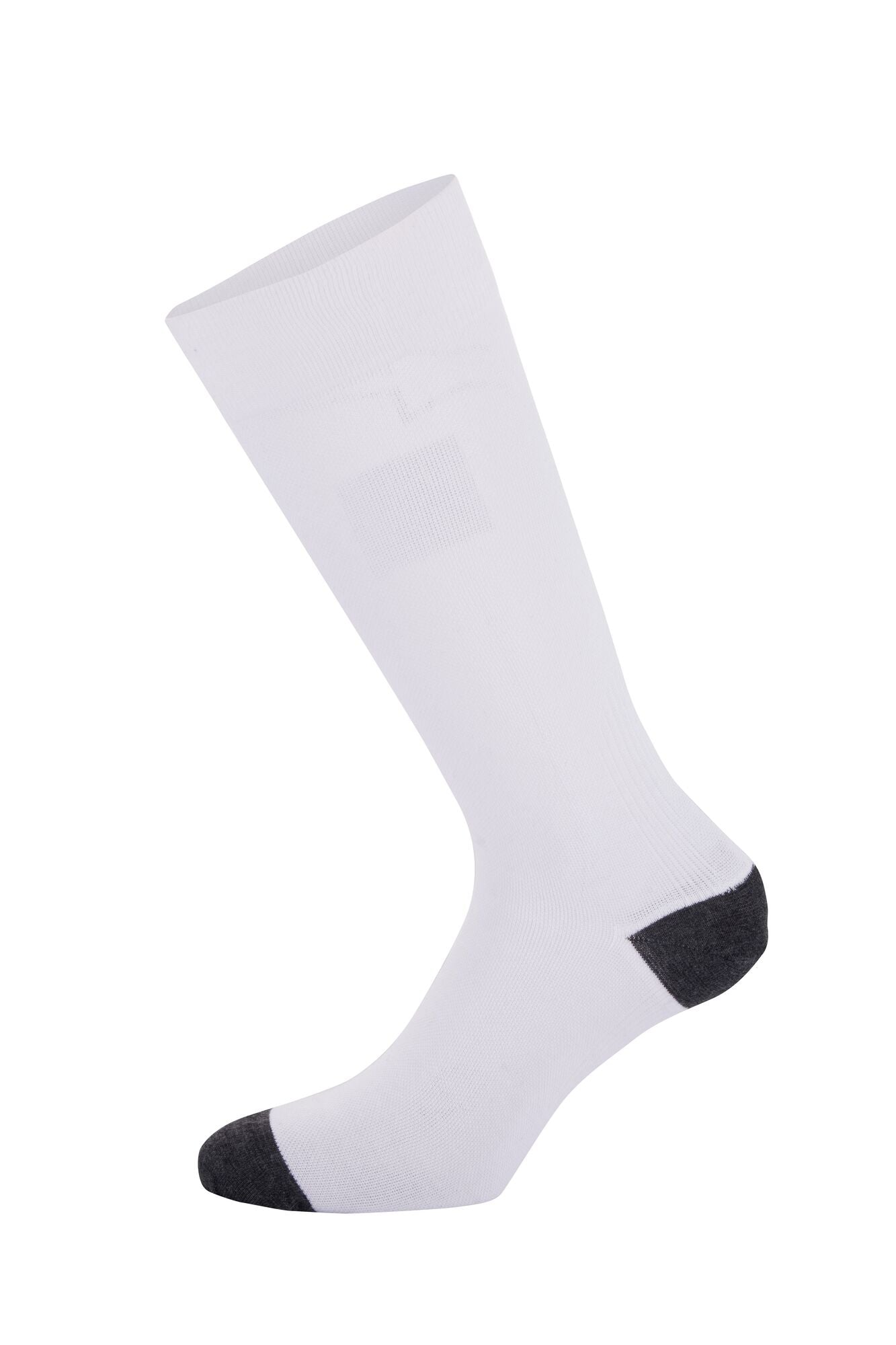 ALPINESTARS 4704323_20_L Шкарпетки ZX V4 Racing, FIA 8856-2018, білі, Розмір L Photo-1
