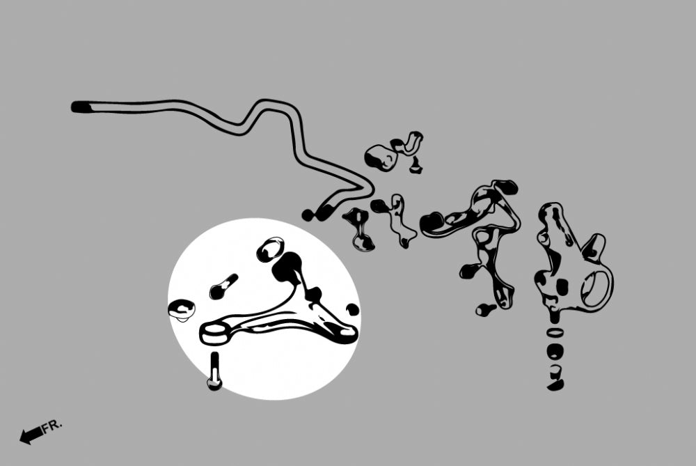 HARDRACE Q0464 К-т передніх нижніх важелів ACURA RSX TYPE-S '02-04/ RSX BASE '02-06 Photo-3