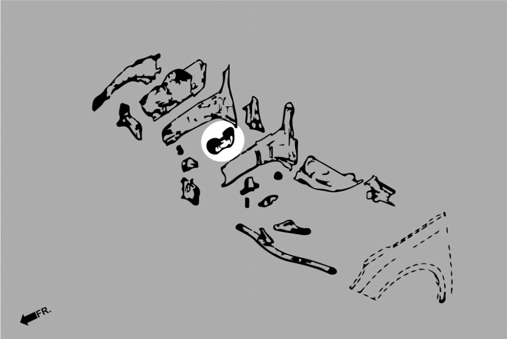 HARDRACE Q0731 К-т кріплення двигуна - 3 шт для FORD FOCUS MK2 ST/RS Photo-4