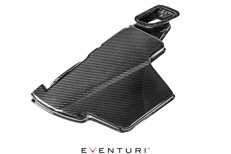 EVENTURI EVE-E9X-CF-ARB BMW E9X M3 - Кришка корпусу повітряного фільтра для BMW E9X M3 (карбон) Photo-1