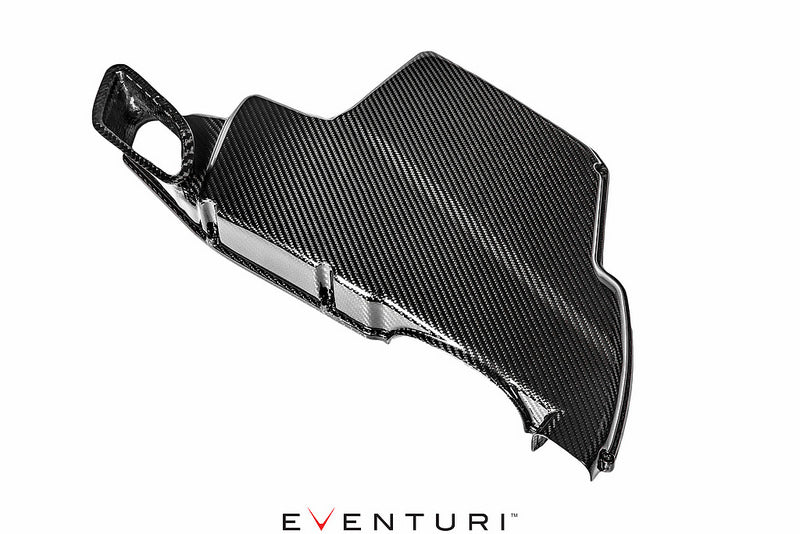 EVENTURI EVE-E9X-CF-ARB BMW E9X M3 - Кришка корпусу повітряного фільтра для BMW E9X M3 (карбон) Photo-0