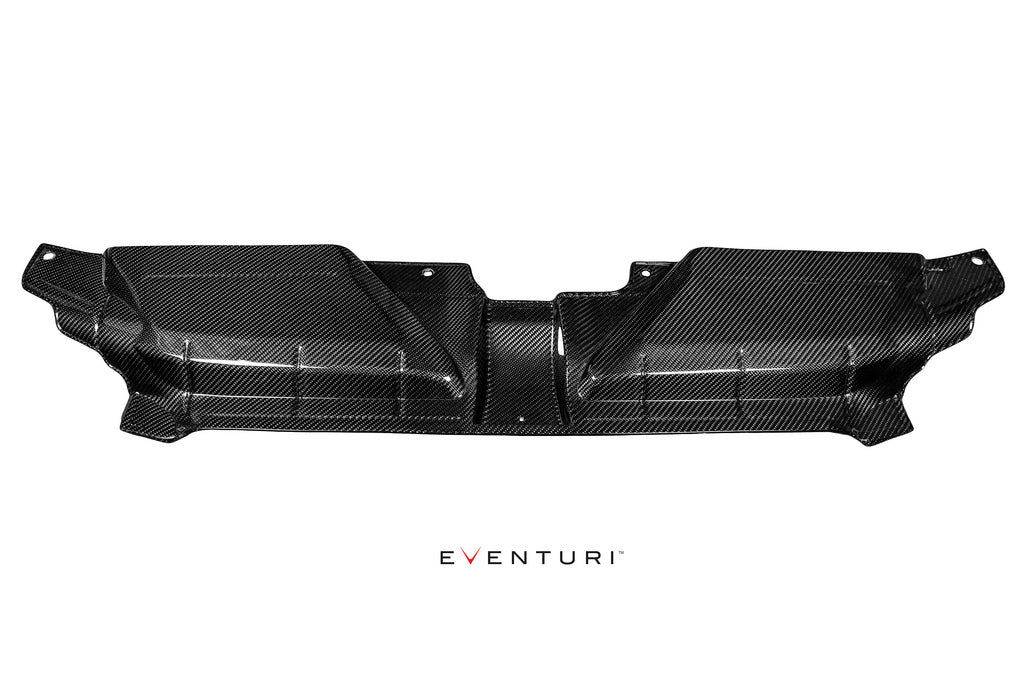 EVENTURI EVE-RS5-CF-SLM Декоративна панель (карбон) для AUDI RS5 (B8) Photo-3