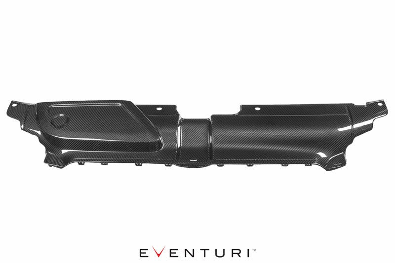 EVENTURI EVE-RS4-CF-SLM Панель охолодження для AUDI B8 RS4 (карбон) Photo-0