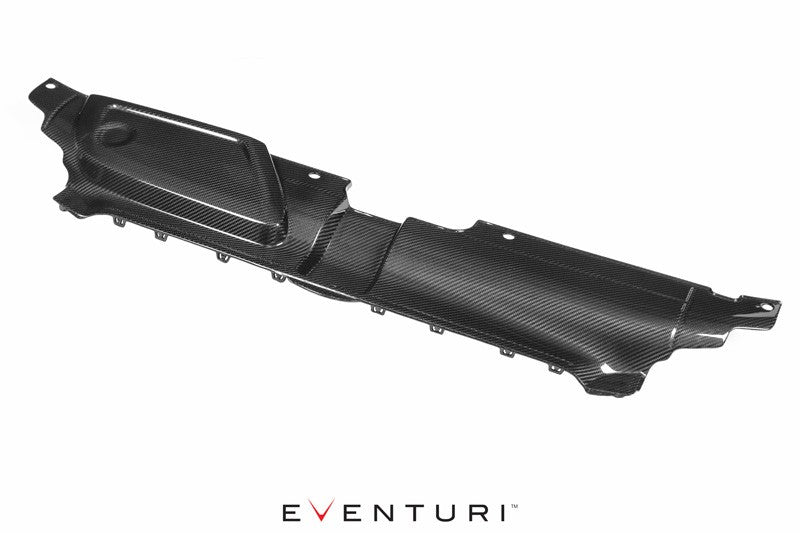 EVENTURI EVE-RS4-CF-SLM Панель охолодження для AUDI B8 RS4 (карбон) Photo-2