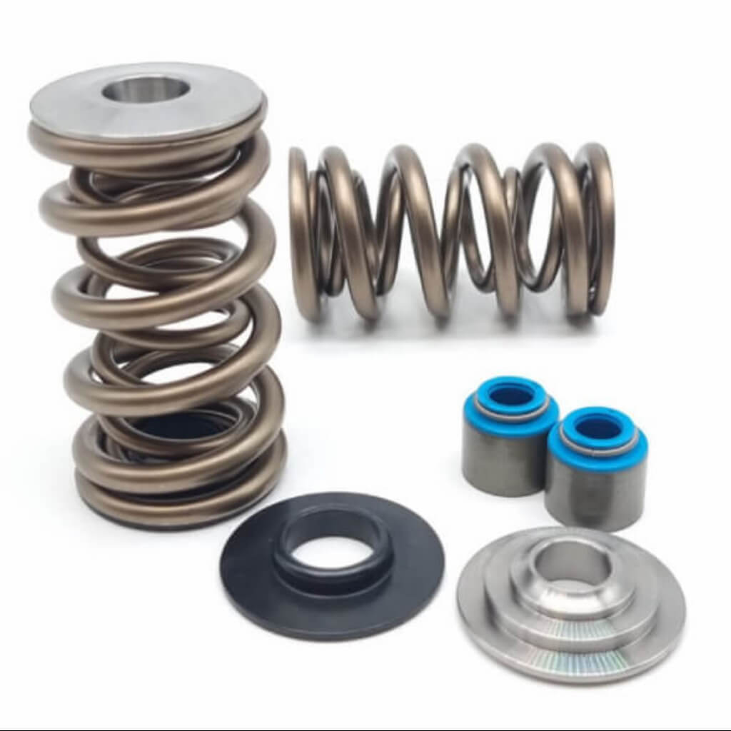 KELFORD KVSLS1D-1 Комплект клапанних пружин для двигуна LS Dual 1204X Photo-0