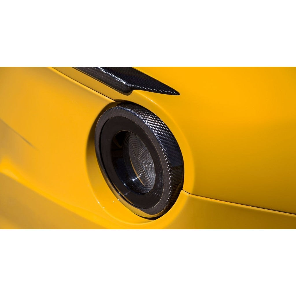NOVITEC F6 222 25 Накладки на задні ліхтарі, видимий карбон для FERRARI F12 2012-2017 Photo-1