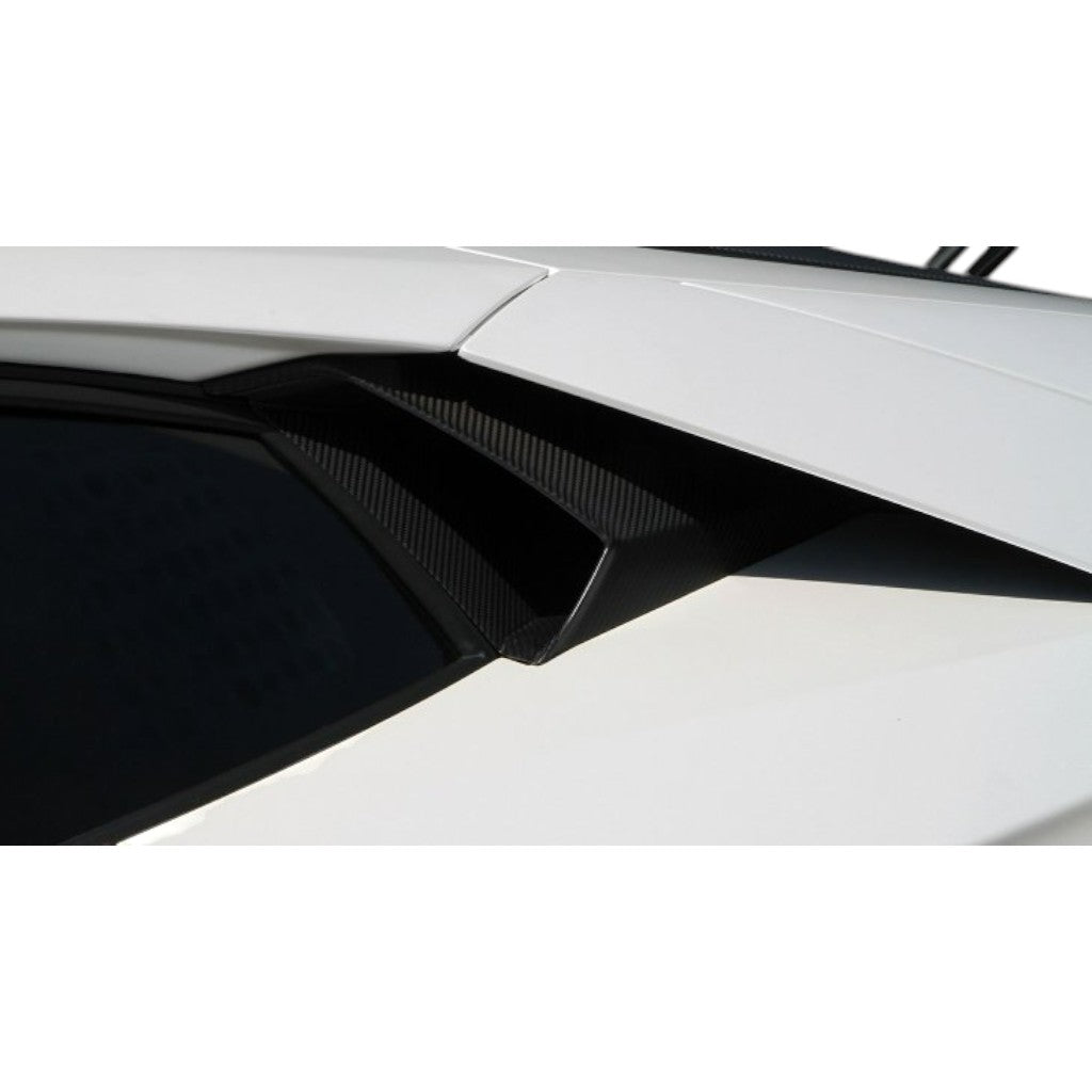 NOVITEC L6 111 25 Повітрозабірники бокового вікна, видимий карбон для LAMBORGHINI Aventador Coupe / Roadster 2011-2021 Photo-1