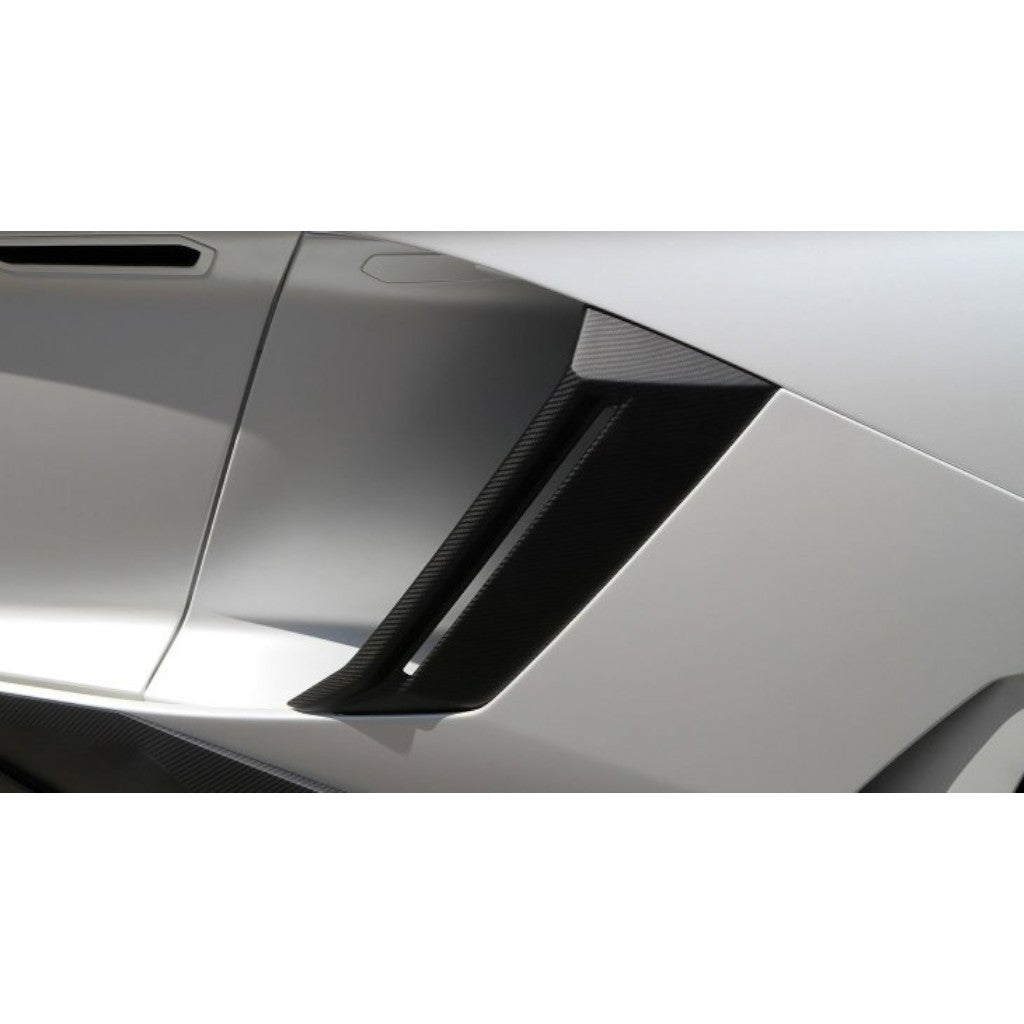 NOVITEC L6 111 33 Бічний повітрозабірник, видимий карбон для LAMBORGHINI Aventador Coupe / Roadster 2011-2021 Photo-1