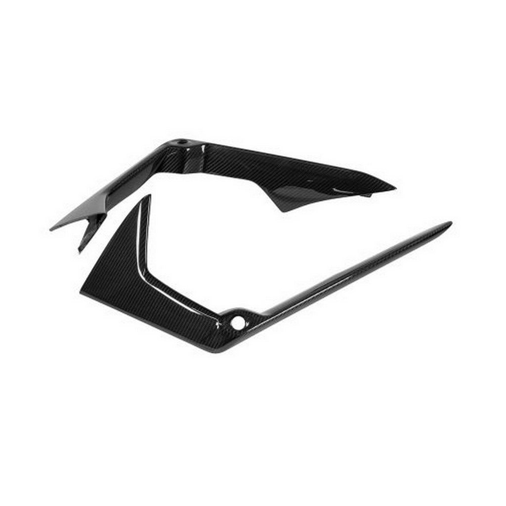 NOVITEC L6 444 12 Передня кришка, видимий карбон для LAMBORGHINI Revuelto 2023- Photo-0