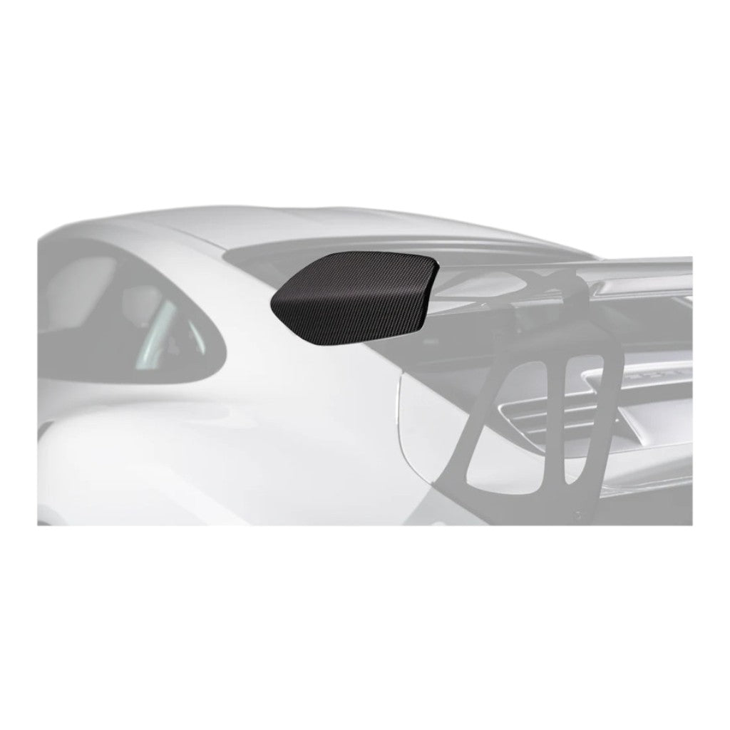 TECHART 091.121.890.009 Накладки заднього спойлера, матовий карбон для PORSCHE 911 GT3RS (991.1) Photo-1