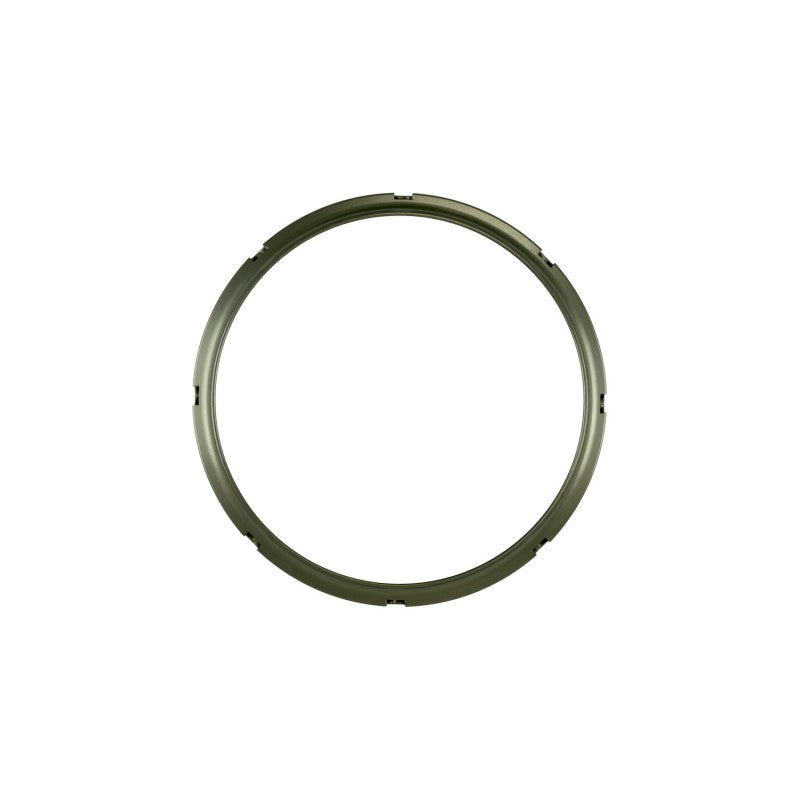 TURBOSMART TS-0550-3146 Фіксувальне кільце GenV WG60 (платина) Photo-0