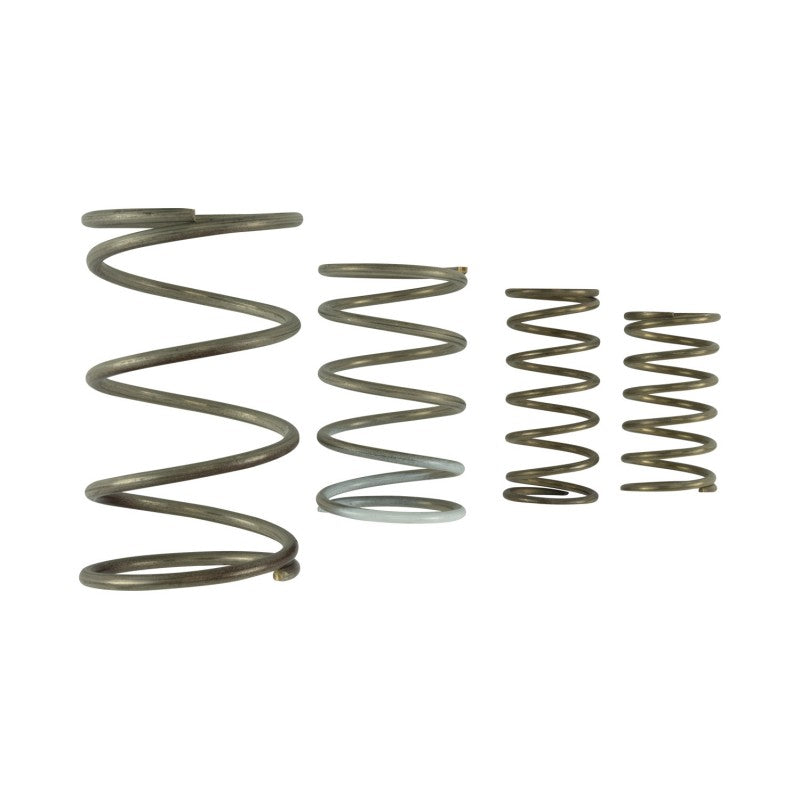 TURBOSMART TS-0550-3152 Комплект запасних пружин GenV WG60 Photo-0