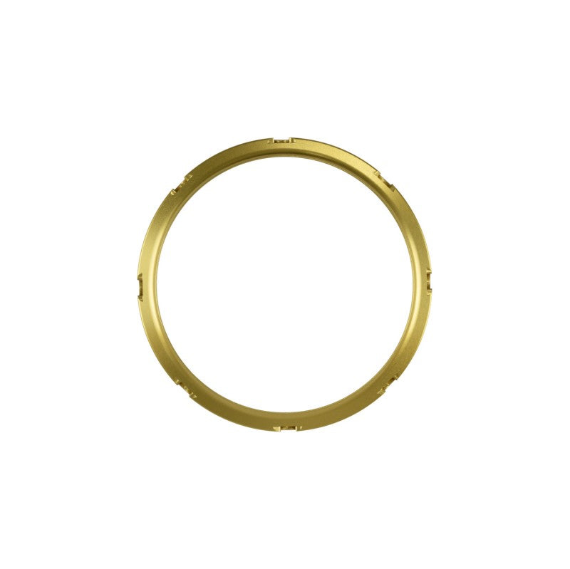 TURBOSMART TS-0550-3160 Фіксувальне кільце GenV WG45/50 (золотий) Photo-0