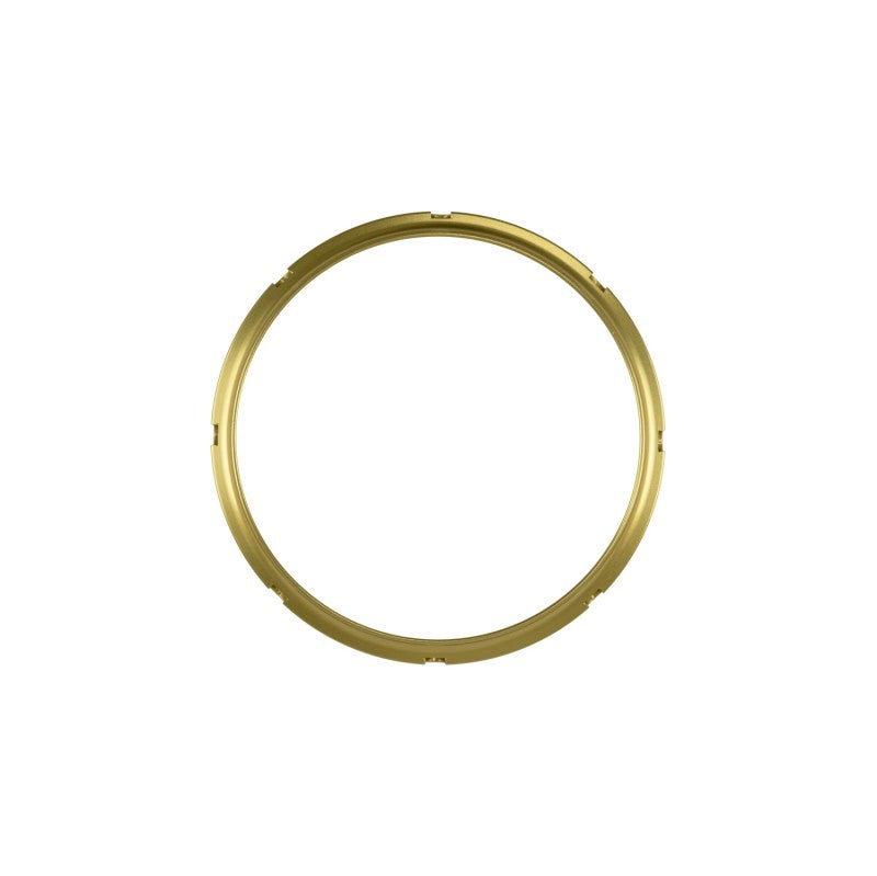 TURBOSMART TS-0550-3161 Фіксувальне кільце GenV WG60 (золотий) Photo-0