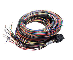 LINK ECU 101-0010 Кабель 5m t Loom-Early Atom G4 Photo-0 
