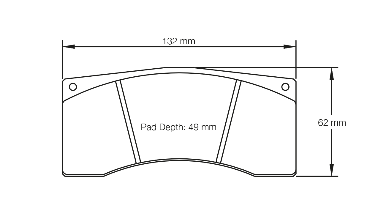 PAGID 1595-RS42 Колодки гальмівні RS42 Photo-1 