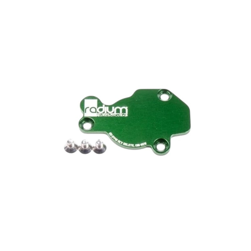 RADIUM 20-0449 Видалення пластин клапана керування рухом заряду для MAZDA 13B-REW Photo-0 