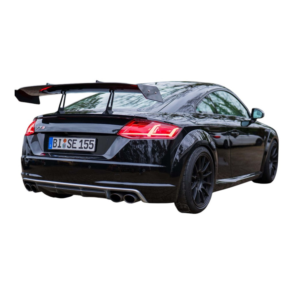 SPEED ENGINEERING 14726 Антикрило з кріпленнями типу "лебедина шия" для AUDI TT / TTS / TT RS (8S) Photo-2 