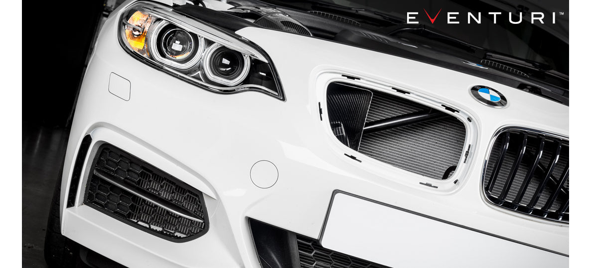 EVENTURI EVE-B58-CF-INT Система холодного впуску для BMW B58 M140i, M240i, M340i, M440i (карбон) Photo-6 
