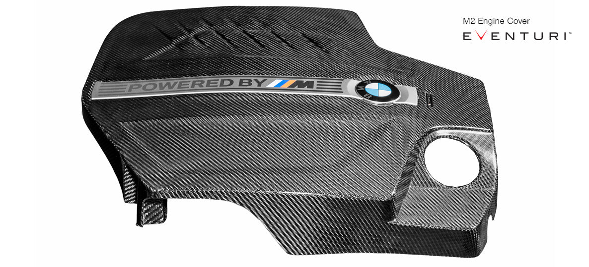 EVENTURI EVE-N55-M2-ENG Кришка двигуна для BMW F87 M2 (карбон) Photo-1 