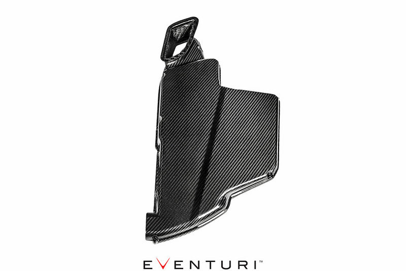 EVENTURI EVE-E9X-CF-ARB BMW E9X M3 - Кришка корпусу повітряного фільтра для BMW E9X M3 (карбон) Photo-4 