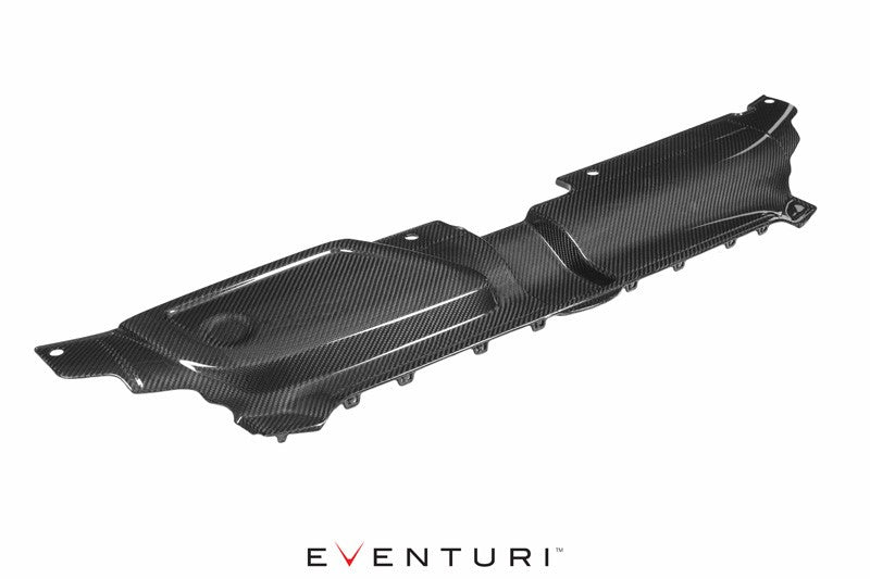 EVENTURI EVE-RS4-CF-SLM Панель охолодження для AUDI B8 RS4 (карбон) Photo-1 