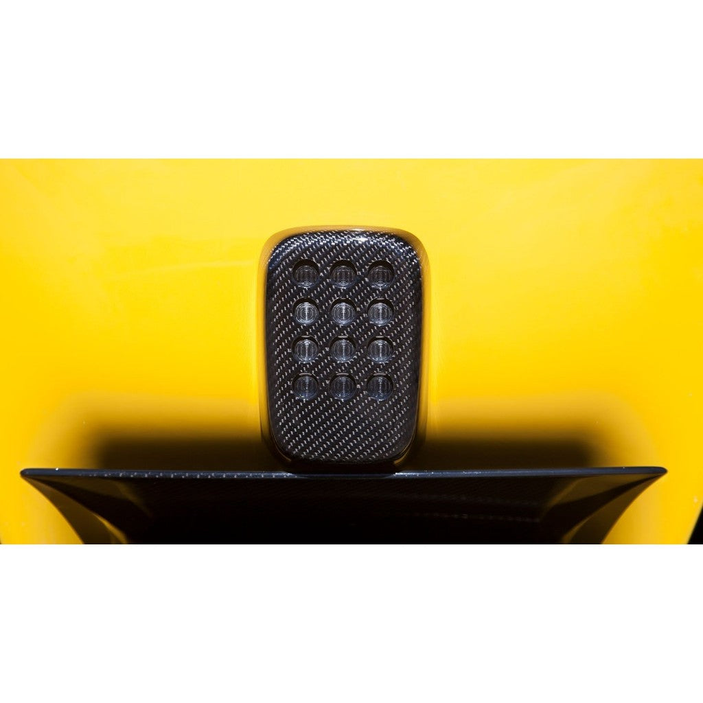 NOVITEC F6 222 35 Накладка на задній протитуманний ліхтар для авто з камерою заднього виду, видимий карбон для FERRARI F12 2012-2017 Photo-1 