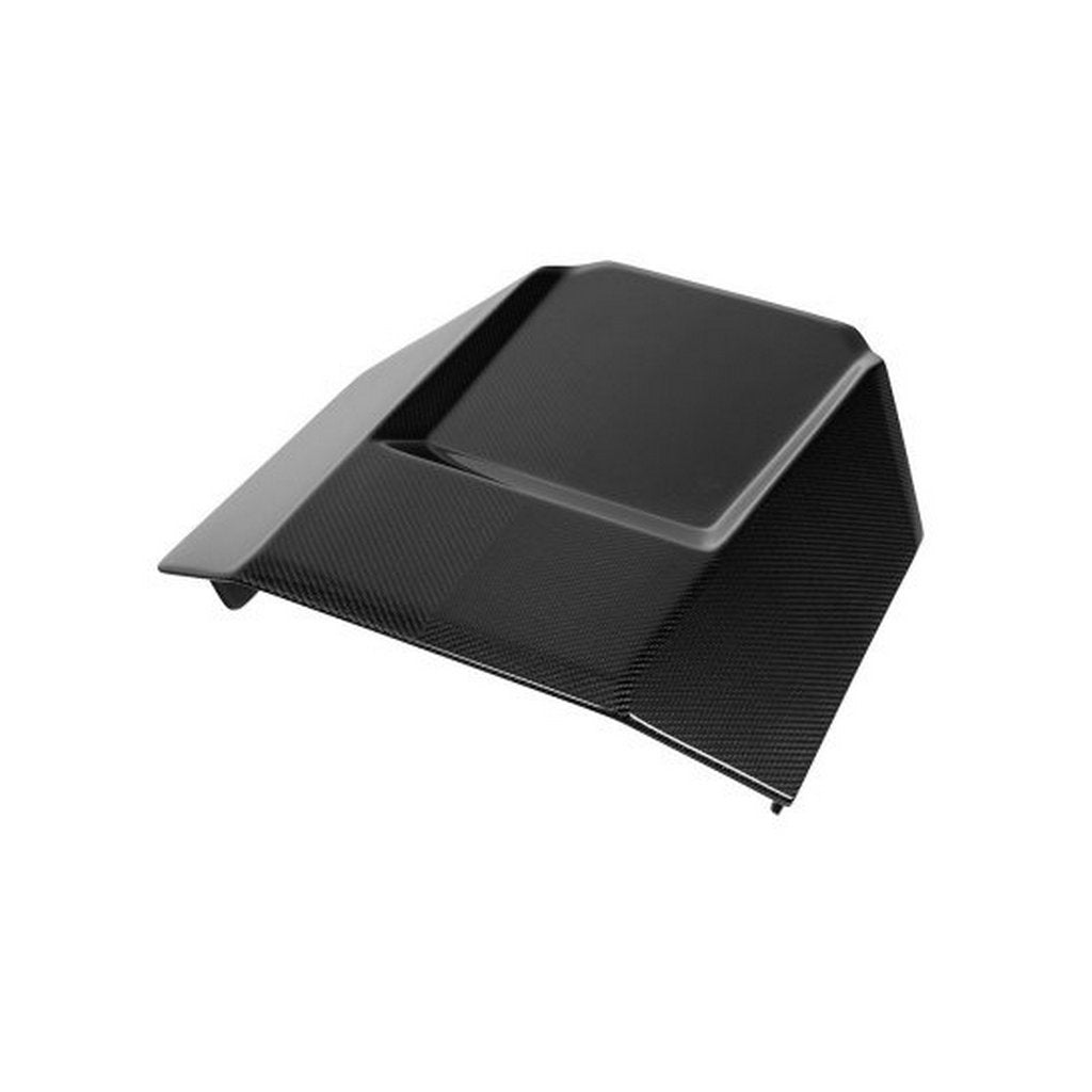 NOVITEC L6 444 20 Повітрозабірник, видимий карбон для LAMBORGHINI Revuelto 2023- Photo-0 