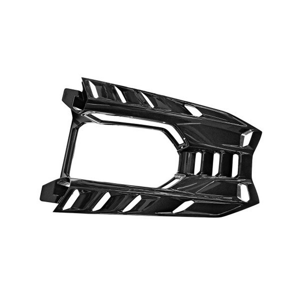 NOVITEC L6 444 21 Задня кришка, видимий карбон для LAMBORGHINI Revuelto 2023- Photo-0 