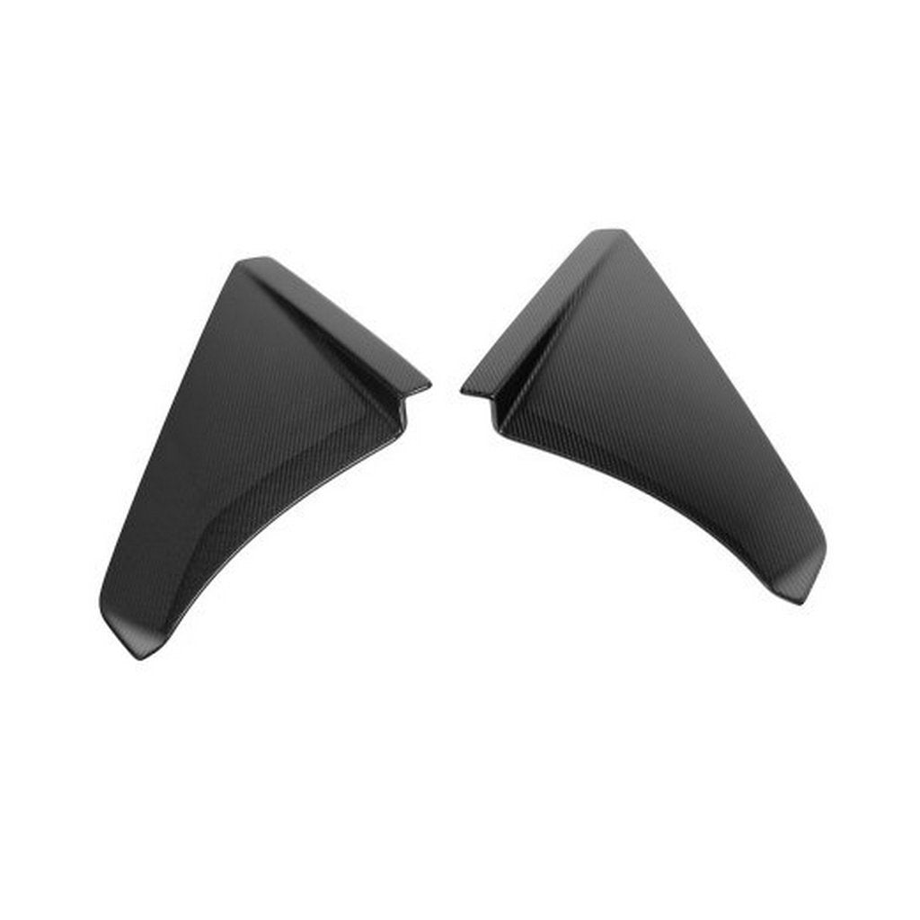 NOVITEC L6 444 42 Ребра бокових панелей (оригінальний стиль), видимий карбон для LAMBORGHINI Revuelto 2023- Photo-0 