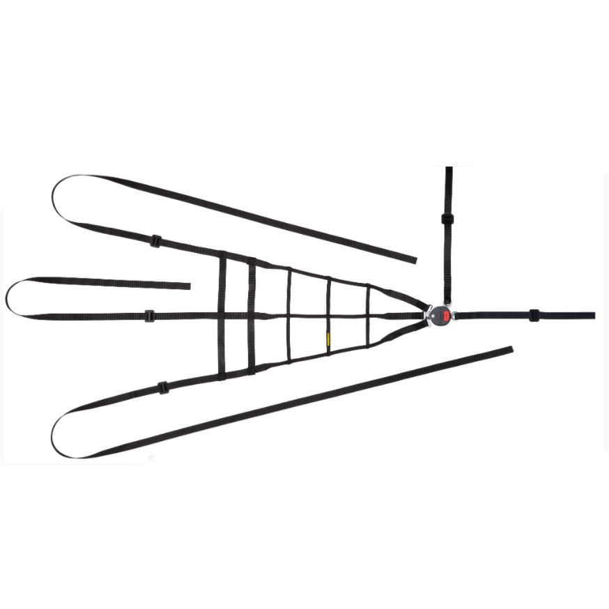 SCHROTH 09077 Гоночна сітка для водія/інтер&#39;єру 5 точок FIA 8863-2013 чорний Photo-1 
