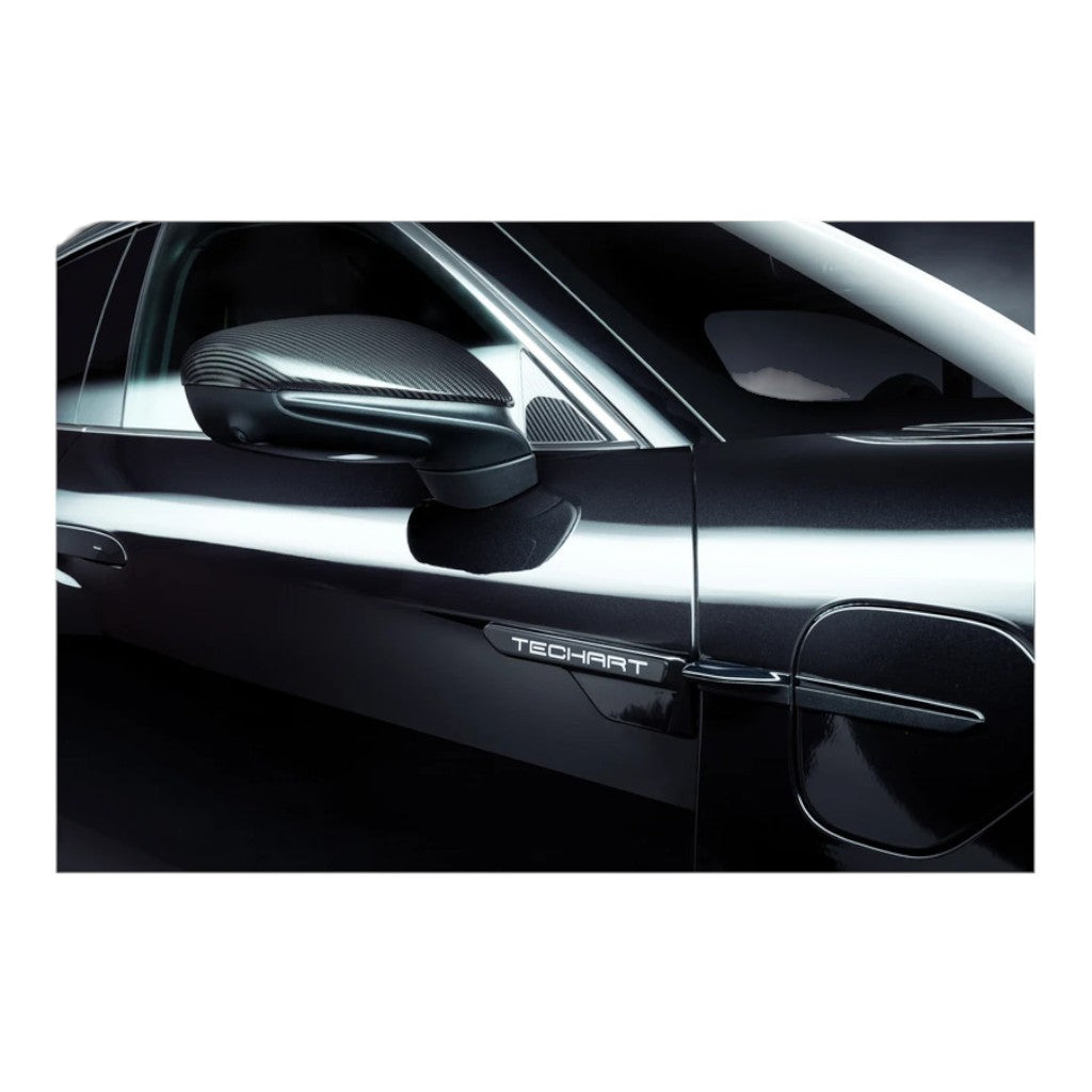 TECHART 09J.121.320.009 Накладки на бокові дзеркала для PORSCHE Taycan (9J1) Photo-7 