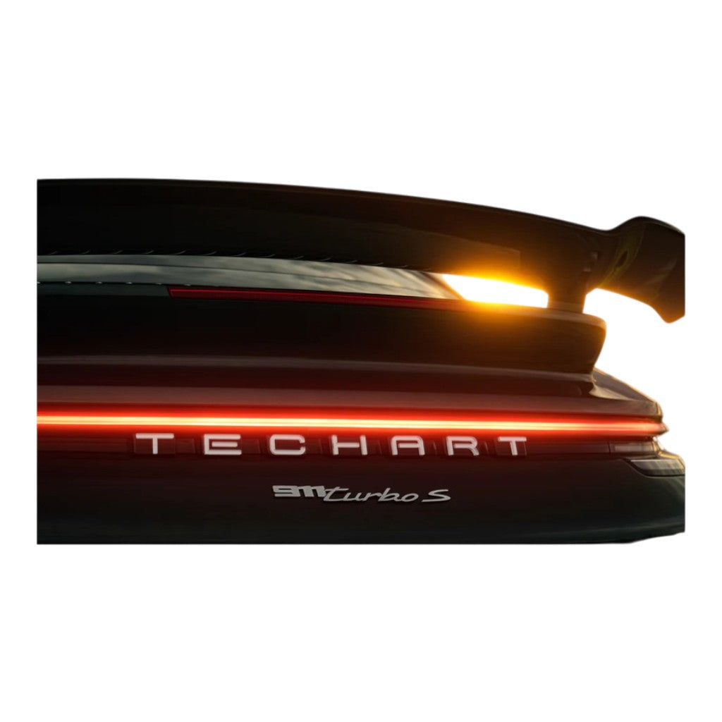 TECHART +92.100.700.004 V01: Задній напис TECHART, індивідуальний колір Photo-1 