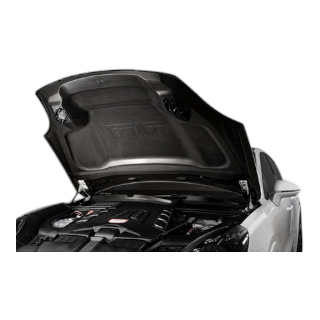 TECHART +9Y.121.001.000G-01 V01: Аеродинамічний капот, глянцевий карбон для PORSCHE Cayenne (E3.1) (крім Turbo E-Hybrid) Photo-2 