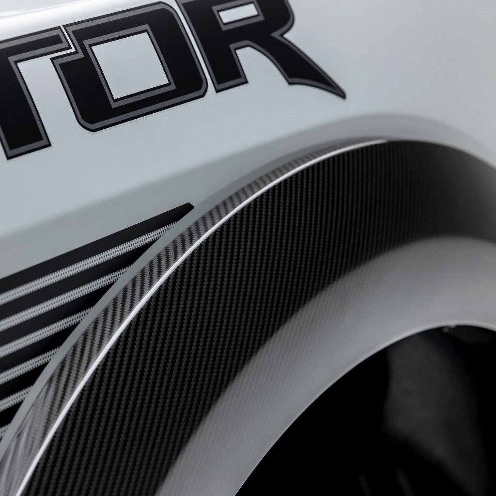 VORSTEINER FRT1091 Накладки на крила (сатиновий карбон) для FORD F-150 Raptor R 2023- Photo-7 